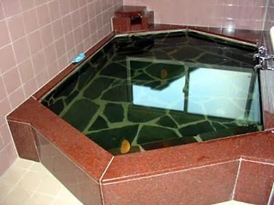 נגויה Ryokan Meiryu